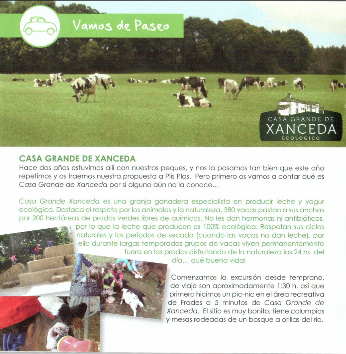 Plis Plas Magazine